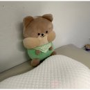 폴인왁싱