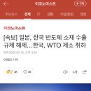 [속보] 일본, 한국 반도체 소재 수출규제 해제…한국, WTO 제소 취하 이미지