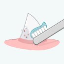 스위스동물병원 이미지