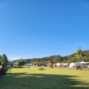 피플앤독 이미지