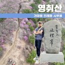 돌고개로 | [여수 영취산] 여수 진달래꽃 산행과 마실 - 돌고개 주차장 가마봉 진례봉 시루봉 봉우재 원점회귀 등산...