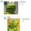 테이키쿠키 네이버블로그