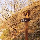 꽃마을펜션 이미지