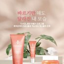엑소미어 - 익산시 익산대로16길 39 | 엑소미어