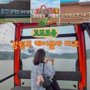 장호가든 | 강원도 케이블카 가볼만한곳 모음 정선 가리왕산 케이블카 삼척 해상케이블카 춘천 삼악산 호수케이블카...
