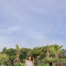 달리야드 이미지