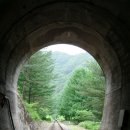 아라리촌 카페 이미지