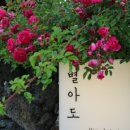 느릅낭집 이미지