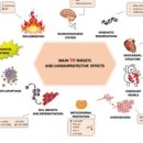 유방1통 이미지