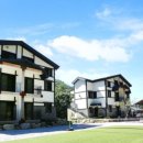 백운면 2049 이미지