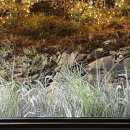 스테이 옥도 이미지