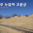루암리고분군 화장실 | 충주 여행코스 (루)누암리 고분군 언택트여행지 탄금대둘레길코스