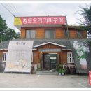 황토오리 이미지