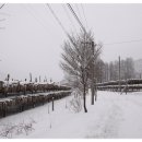 황태덕장 이미지