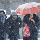 하얀나라깨끗한세상 이미지