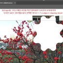 일러스트레이트와 포토샾으로 만든 Banner/clipping mask on ai*** 이미지