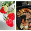 전북자판기종합