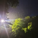 동양미인의원 이미지