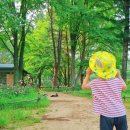 곡성역(옆/ 자전거 주차장) | 남이섬 입장료 할인 하늘자전거 주차장 선착장 배시간 한 번에 정리