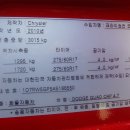 닷찌 이미지