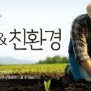 로켓참치