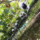 주식회사 농원 이미지