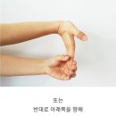 손목이 아플 때 하면 좋은 운동 이미지