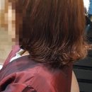 헤어드몽