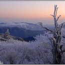 불광2-016 이미지