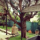 세일링민박 이미지