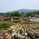 세븐일레븐(창원외동점) 이미지