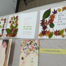 시낭송과 그림책테라피 이미지