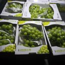 향숙농장 이미지