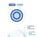 바른아이안경, 콘택트 이미지