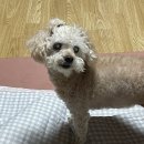 팔팔한우촌 이미지