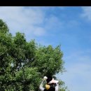 부경골프 이미지