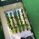 송라면농업인상담소 이미지