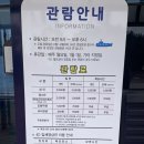 해미래 | 과학관] 쑥이네,목포 어린이와 가볼만한 곳 추천 🌊 목포 어린이 바다 과학관 체험 후기 (4D영상, VR체험)