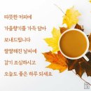 행복한가을 Daum카페