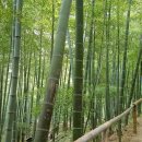 한국폴리텍 VII 대학 울산캠퍼스 이미지