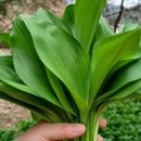 금무리농장 이미지