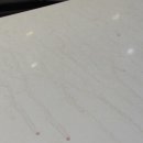 카멜레온 디테일 이미지