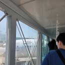 [ 미국생활┃LA┃DAY 1-2 ] 인생처음 밟는 미국땅 / 에어프레미아 지정좌석 후기(10F)