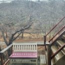 산내의원 이미지
