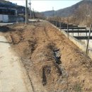 탄현면사무소 이미지