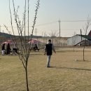 워킹애니멀스쿨 이미지