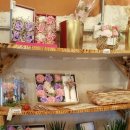 송정상회 이미지