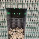 댕데이지 이미지