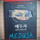 [제시 버튼] 메두사 이미지