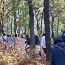 빼빼숲